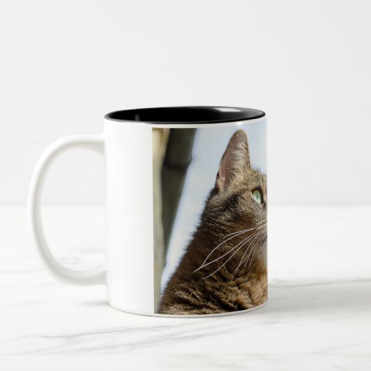 Mokken en bekers (Links)