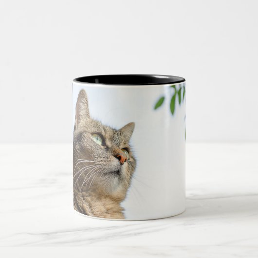 Mokken en bekers (Center)