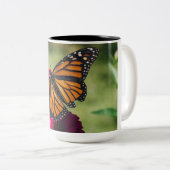 Mokken en koppen voor vlinder (Voorkant rechts)