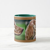 Mokken Engelse Setter Art (Midden)