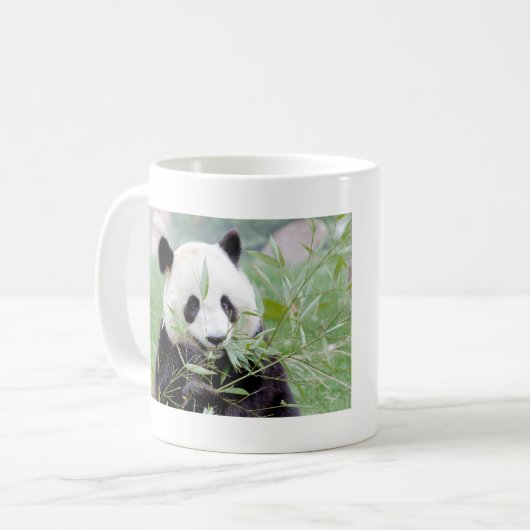Mokken foto reus panda. Panda-wedstrijd. (Voorkant links)