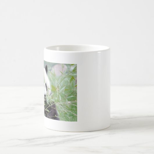 Mokken foto reus panda. Panda-wedstrijd. (Center)