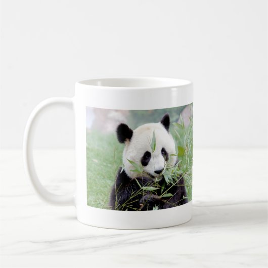 Mokken foto reus panda. Panda-wedstrijd. (Links)
