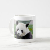 Mokken foto reus panda. Panda-wedstrijd. (Voorkant links)