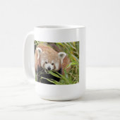 Mokken foto rode panda. Panda roux, dieren. (Voorkant links)