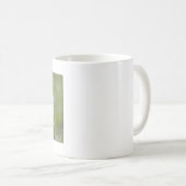 Mokken foto rode panda. Panda roux, dieren. (Voorkant rechts)