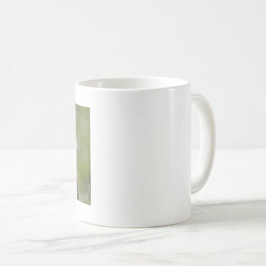 Mokken foto rode panda. Panda roux, dieren. (Voorkant rechts)