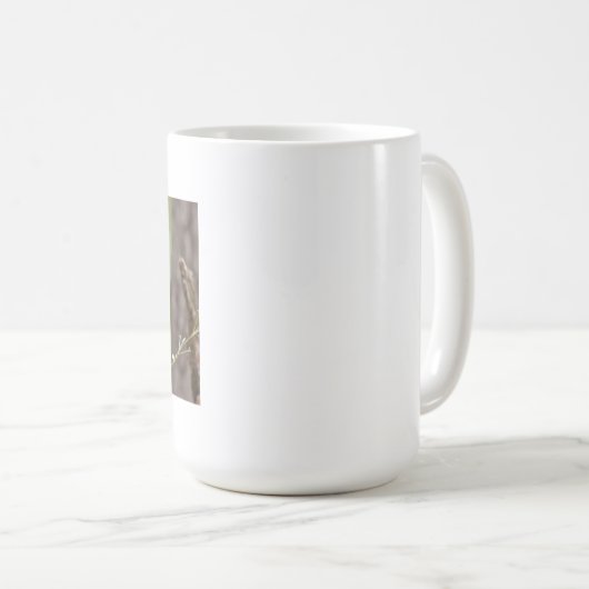 Mokken foto rode panda. Panda roux, dieren. (Voorkant rechts)