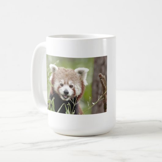 Mokken foto rode panda. Panda roux, dieren. (Voorkant links)