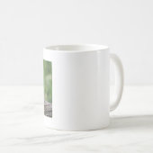 Mokken foto rode panda. Panda roux, dieren. (Voorkant rechts)