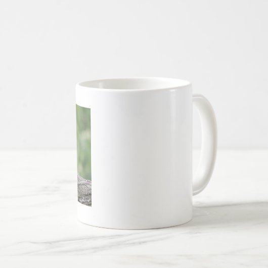 Mokken foto rode panda. Panda roux, dieren. (Voorkant rechts)