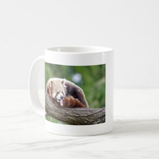 Mokken foto rode panda. Panda roux, dieren. (Voorkant links)