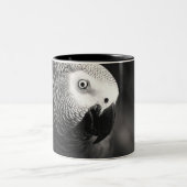 Mokken van Afrikaanse grijze papegaaien (Center)