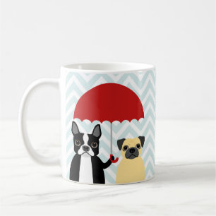 Mokken van Boston Terrier