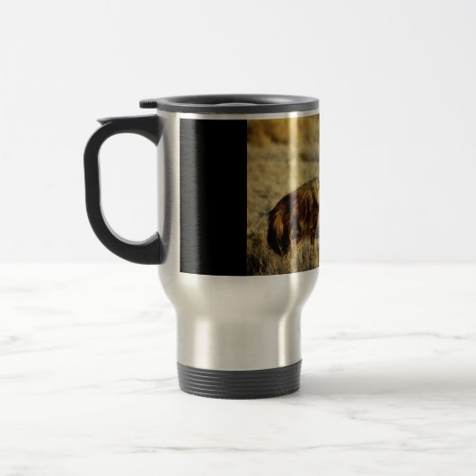 Mokken van wilde fauna in bruine hyena (Links)