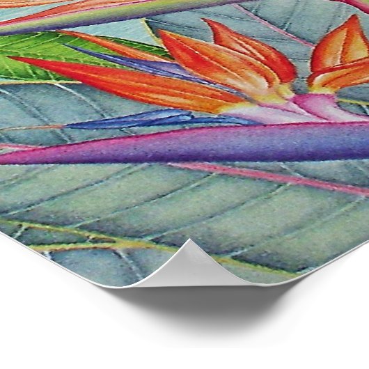 Mokuluas, Hawaii Poster (Hoek)