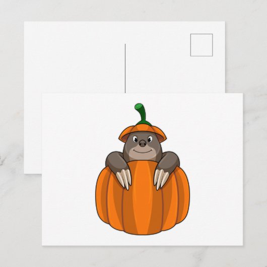 Mol met Pompoen Briefkaart (Voorkant / Achterkant)