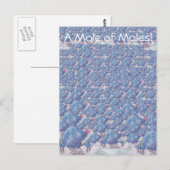 Mol van Moles Cartoon Avogadro Constant Briefkaart (Voorkant / Achterkant)