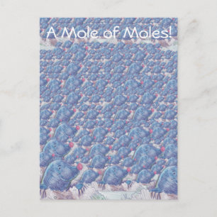 Mol van Moles Cartoon Avogadro Constant Briefkaart