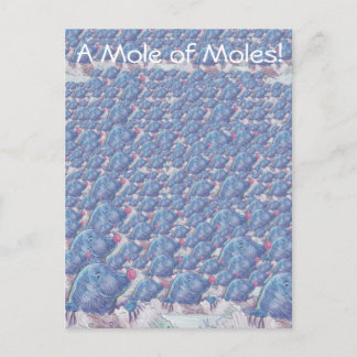 Mol van Moles Cartoon Avogadro Constant Briefkaart