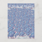 Mol van Moles Cartoon Avogadro Constant Briefkaart (Voorkant)