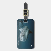 Mola Mola Bagagelabel (Voorkant verticaal)