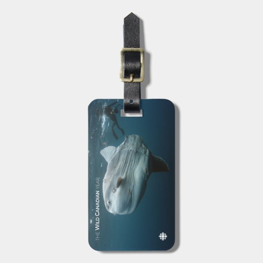 Mola Mola Bagagelabel (Voorkant verticaal)