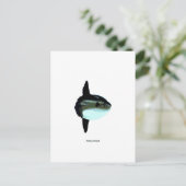 Mola Mola Briefkaart (Staand voorkant)