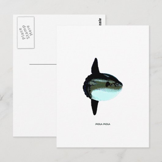 Mola Mola Briefkaart (Voorkant / Achterkant)