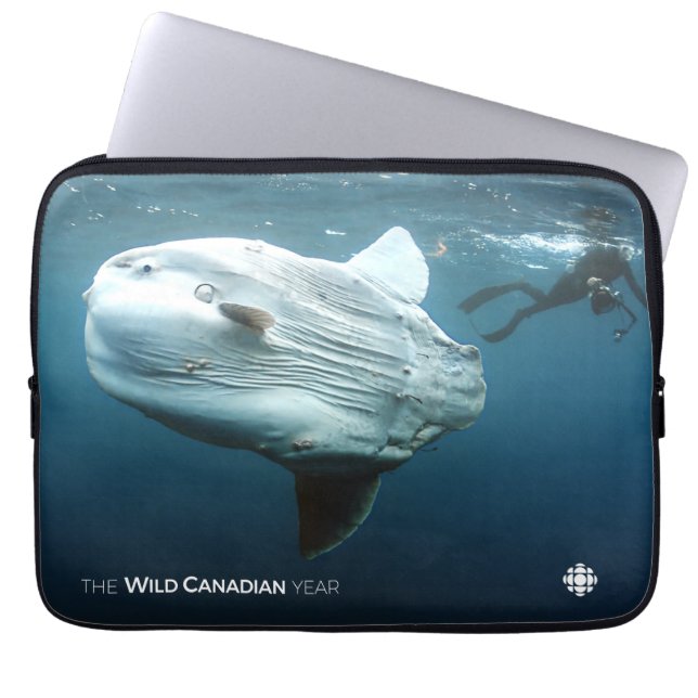 Mola Mola Laptop Sleeve (Voorkant)
