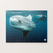 Mola Mola Legpuzzel (Horizontaal)