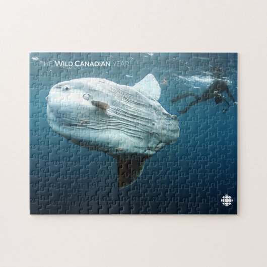 Mola Mola Legpuzzel (Horizontaal)