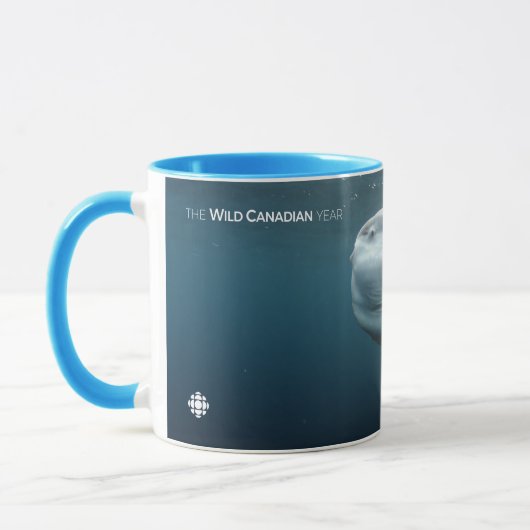 Mola Mola Mok (Links)