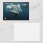 Mola Mola Notitiekaartje (Voorkant / Achterkant)
