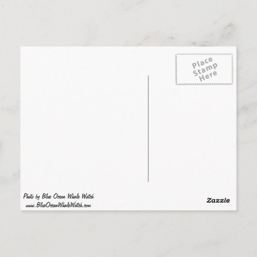 Mola mola (Ocean Sunfish) Briefkaart (Achterkant)