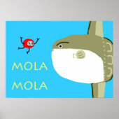 MOLA MOLA POSTER (Voorkant)