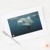 Mola Mola Rechthoekige Sticker (Envelop)