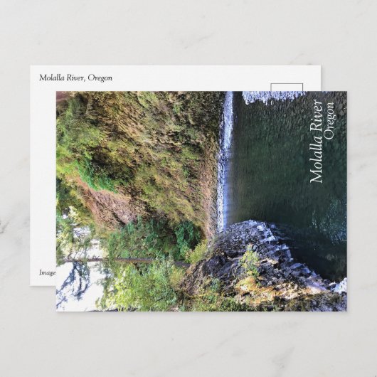 Molalla, OR Briefkaart (Voorkant / Achterkant)