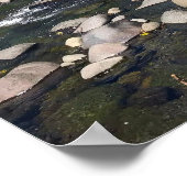 Molalla, OR Poster (Hoek)