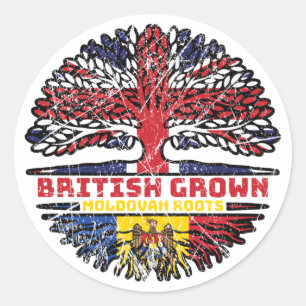 Moldavië Moldavisch-Uk - Britse boom Ronde Sticker