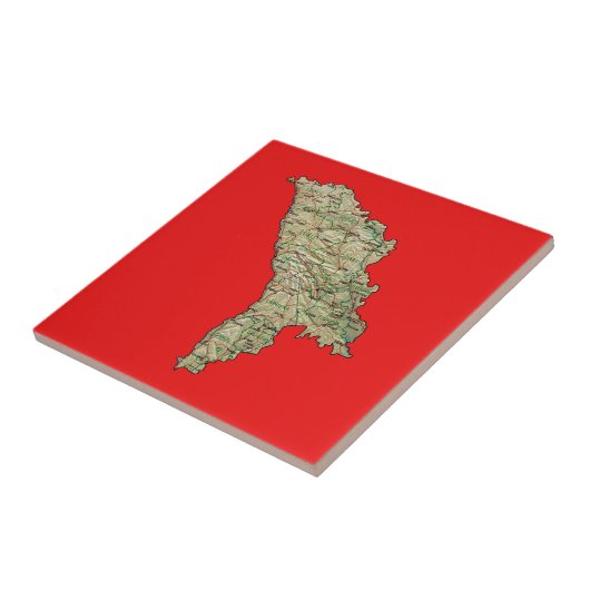 Moldavië-plattegrond Tegeltje (Zijkant)