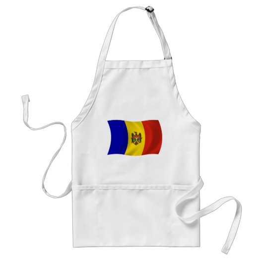 Moldavië Vlag Schort (Voorkant)