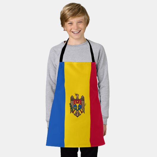 Moldavië-vlag Schort (Gedragen)