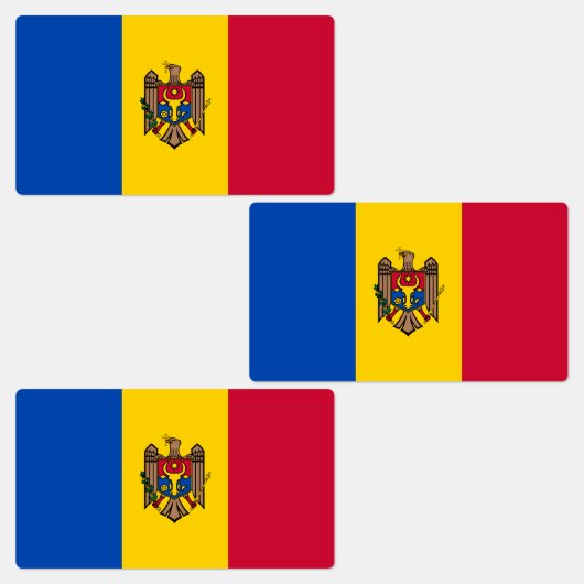 Moldavische vlag labels (Groep)