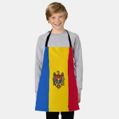Moldavische vlag schort (Gedragen)