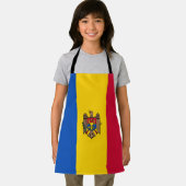 Moldavische vlag schort (Insitu)