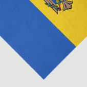 Moldavische vlag tissuepapier (Detail)
