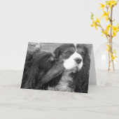 Molder & Fjalar Cavalier King Charles Spaniels Kaart (Gele Bloem)