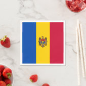 Moldova Vlag Servet (Insitu)