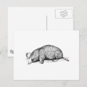 Mole Briefkaart (Voorkant / Achterkant)